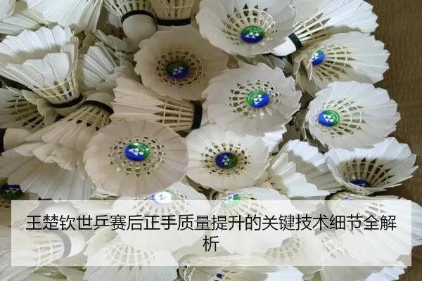王楚钦世乒赛后正手质量提升的关键技术细节全解析
